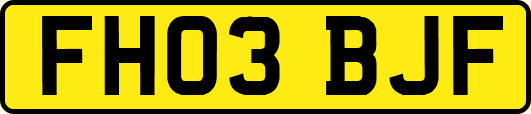 FH03BJF