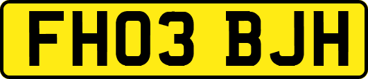 FH03BJH
