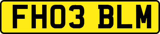 FH03BLM