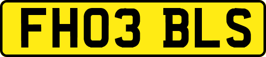 FH03BLS