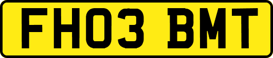 FH03BMT