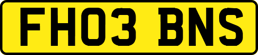 FH03BNS