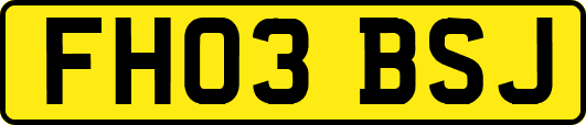 FH03BSJ