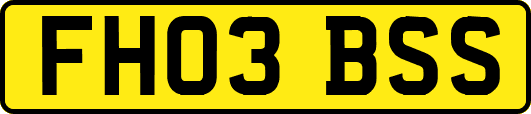 FH03BSS