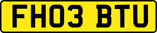 FH03BTU