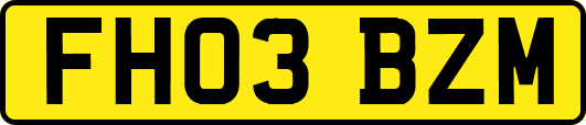 FH03BZM