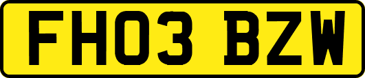 FH03BZW