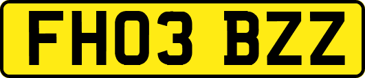 FH03BZZ