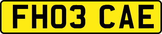 FH03CAE