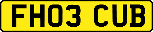 FH03CUB