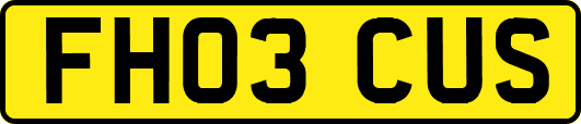 FH03CUS