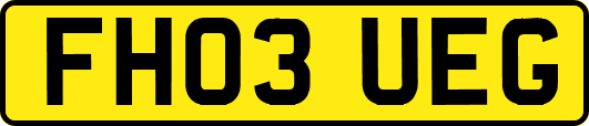FH03UEG