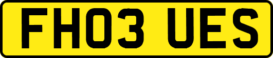 FH03UES