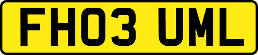 FH03UML