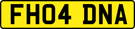 FH04DNA