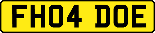 FH04DOE