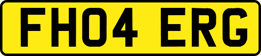 FH04ERG