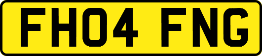 FH04FNG