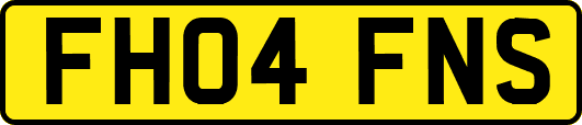 FH04FNS