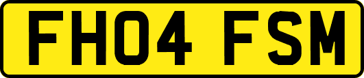 FH04FSM