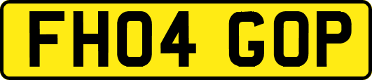 FH04GOP