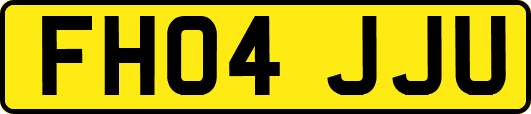 FH04JJU