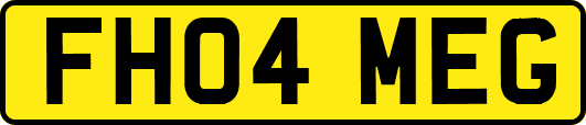 FH04MEG