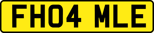 FH04MLE