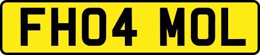 FH04MOL