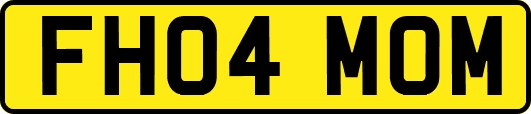 FH04MOM