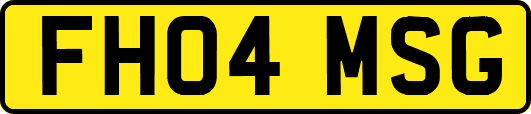 FH04MSG
