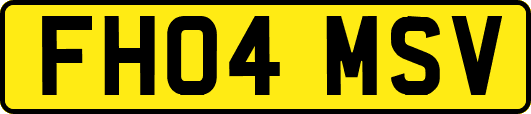 FH04MSV
