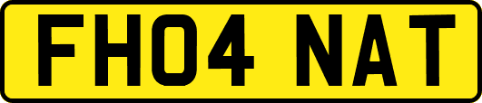 FH04NAT