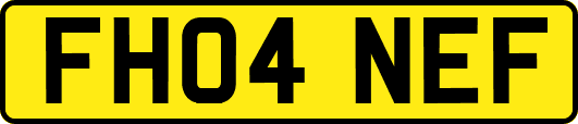 FH04NEF
