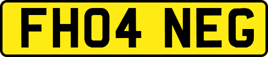 FH04NEG
