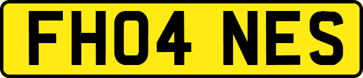 FH04NES