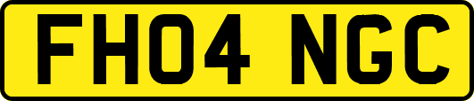 FH04NGC