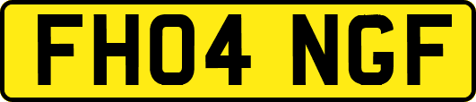 FH04NGF