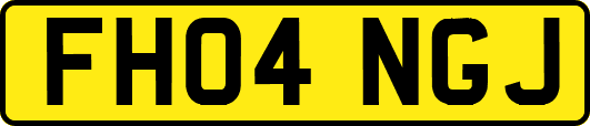 FH04NGJ