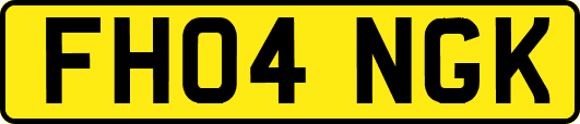 FH04NGK