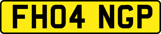 FH04NGP