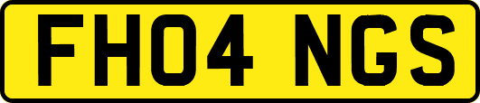 FH04NGS