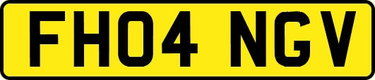 FH04NGV