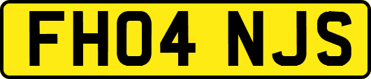 FH04NJS