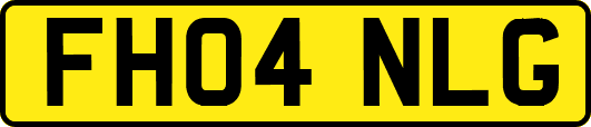 FH04NLG