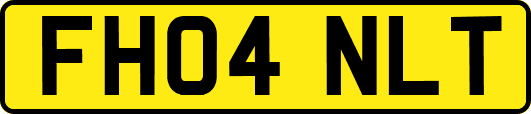 FH04NLT