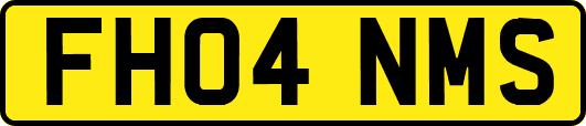 FH04NMS