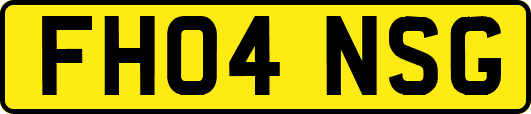 FH04NSG