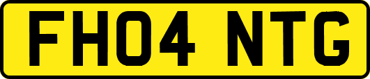 FH04NTG