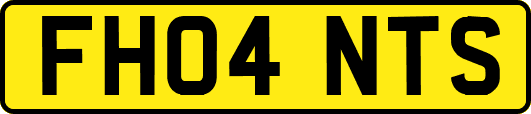 FH04NTS